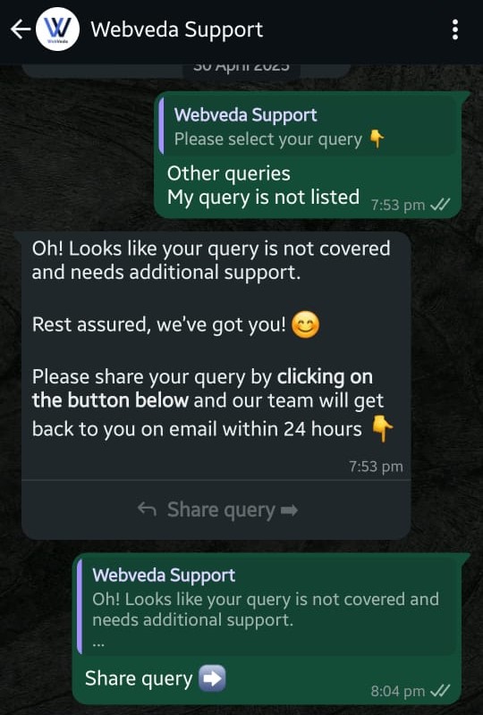 WhatsApp interface showing custom query option selection